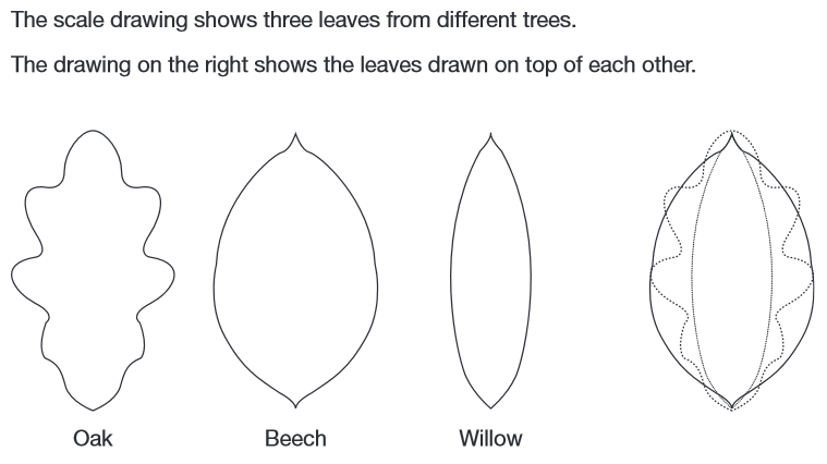 Mathematical Reasoning Question