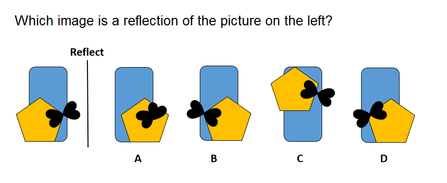 Non Verbal Reasoning Reflection Question